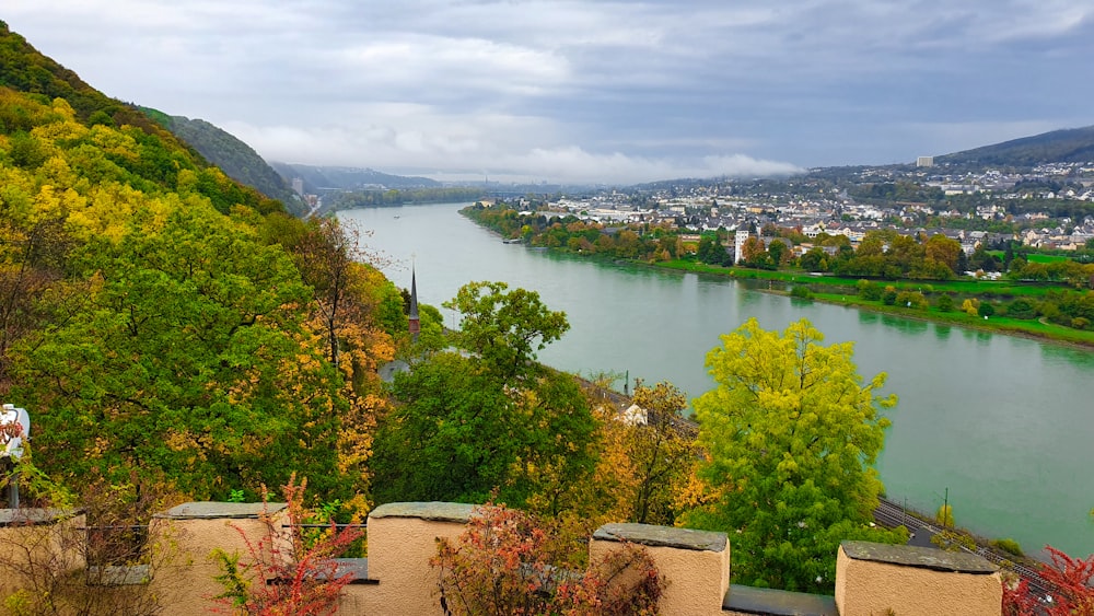 green trees near body of water during daytime