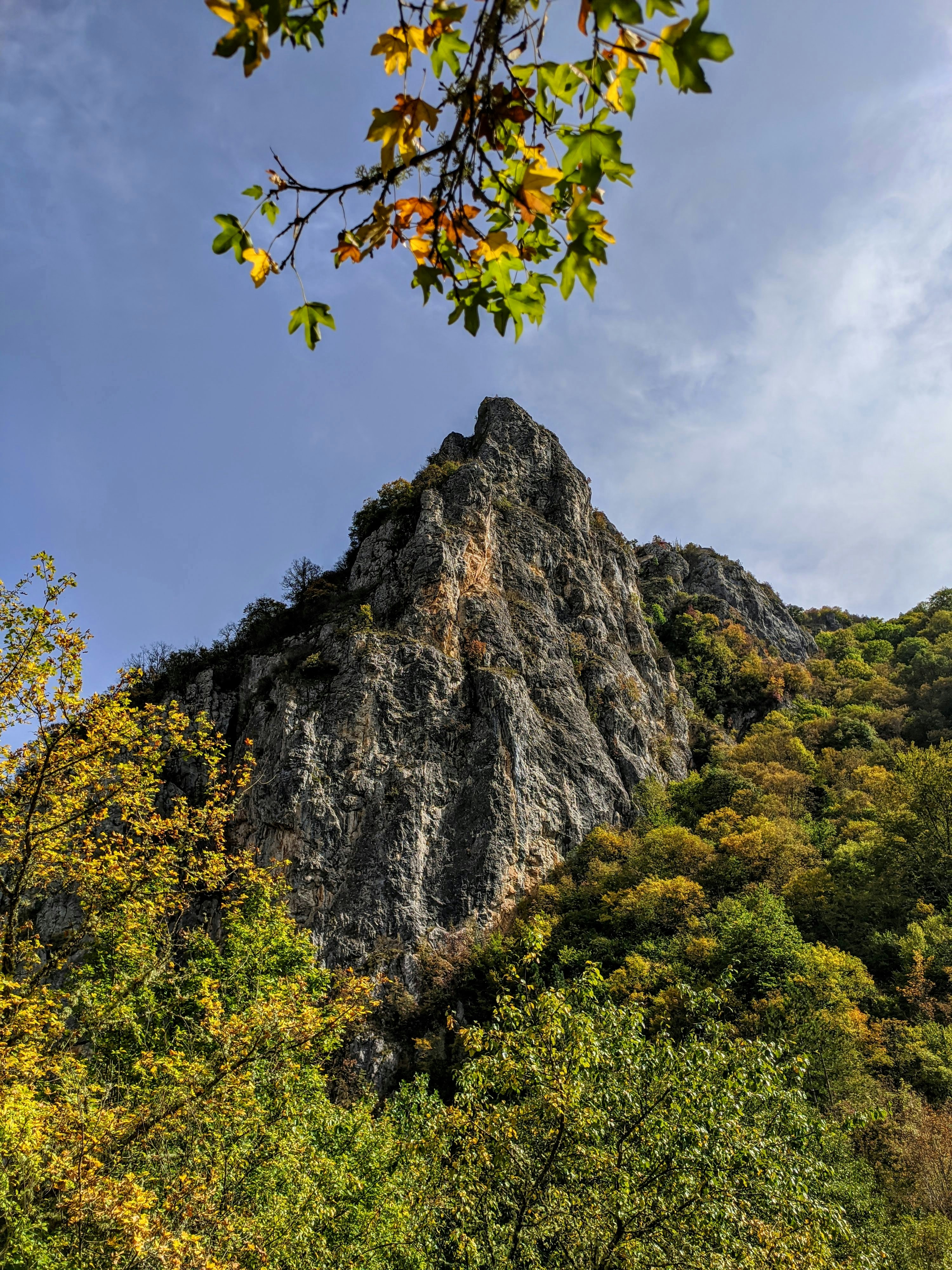 green and yellow trees near gray rock mountain under blue sky during daytime