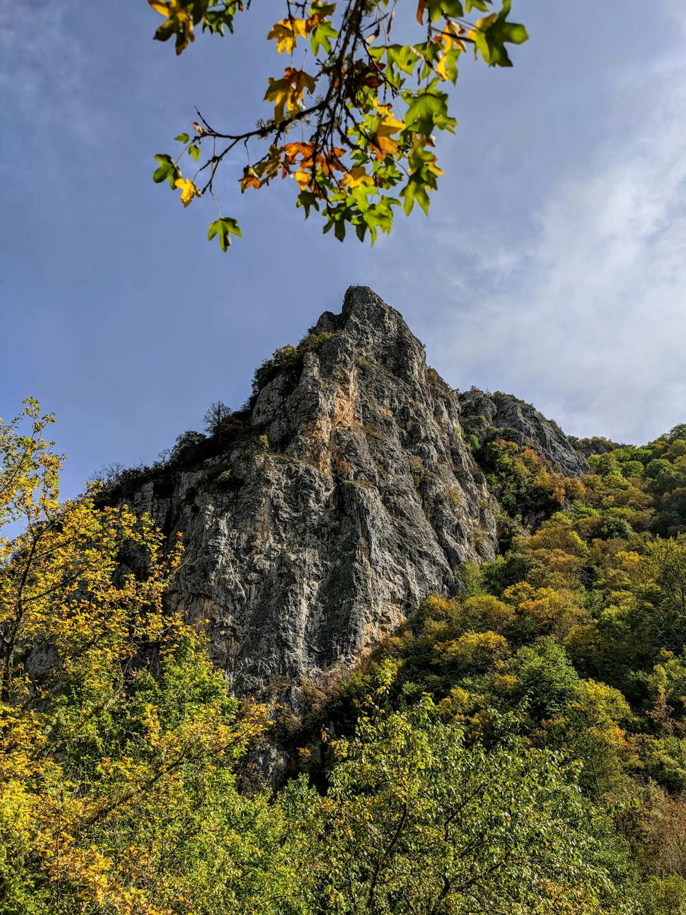green and yellow trees near gray rock mountain under blue sky during daytime
