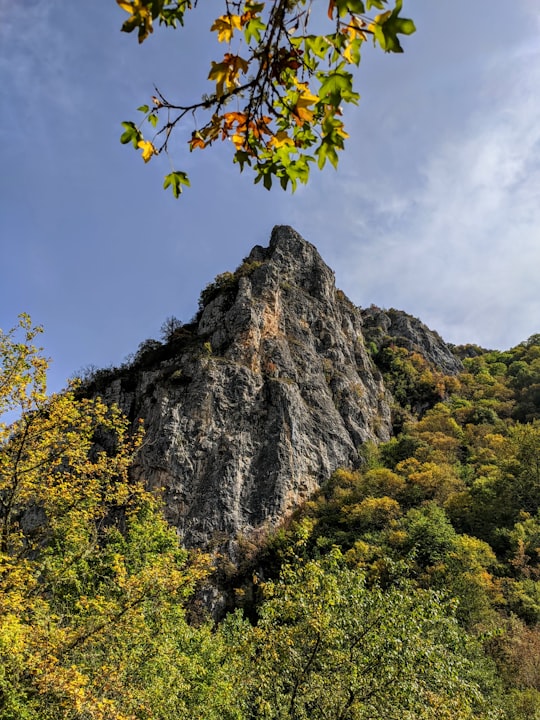 green and yellow trees near gray rock mountain under blue sky during daytime in Bankya Bulgaria