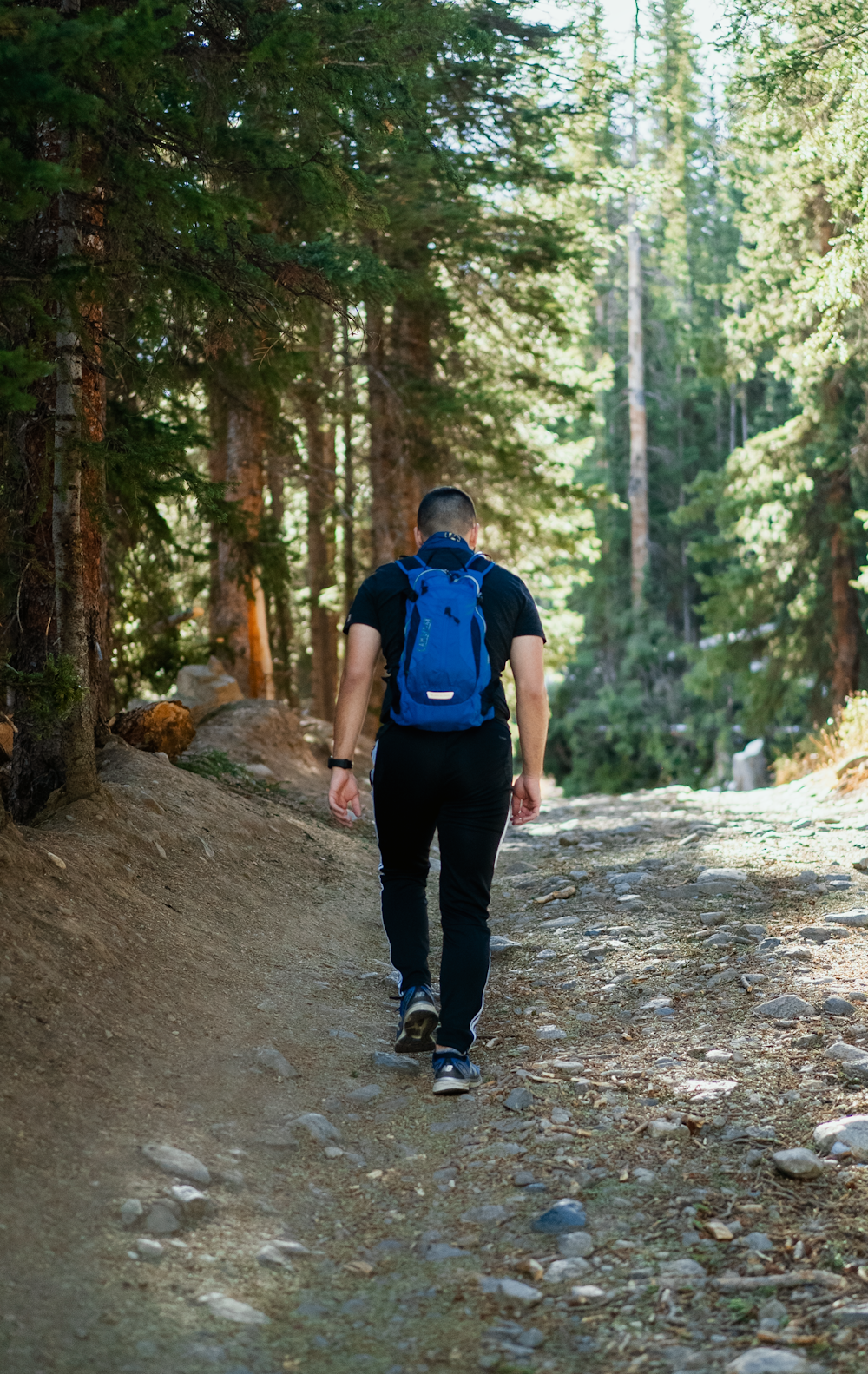 man in blue shirt and black pants standing on dirt road between trees during daytime