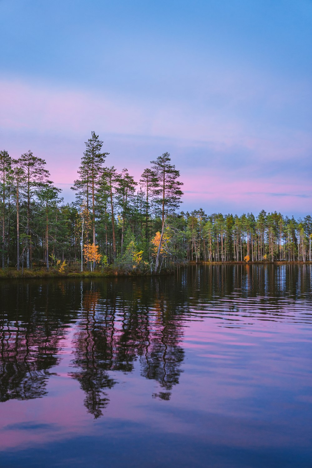 alberi verdi accanto allo specchio d'acqua durante il giorno