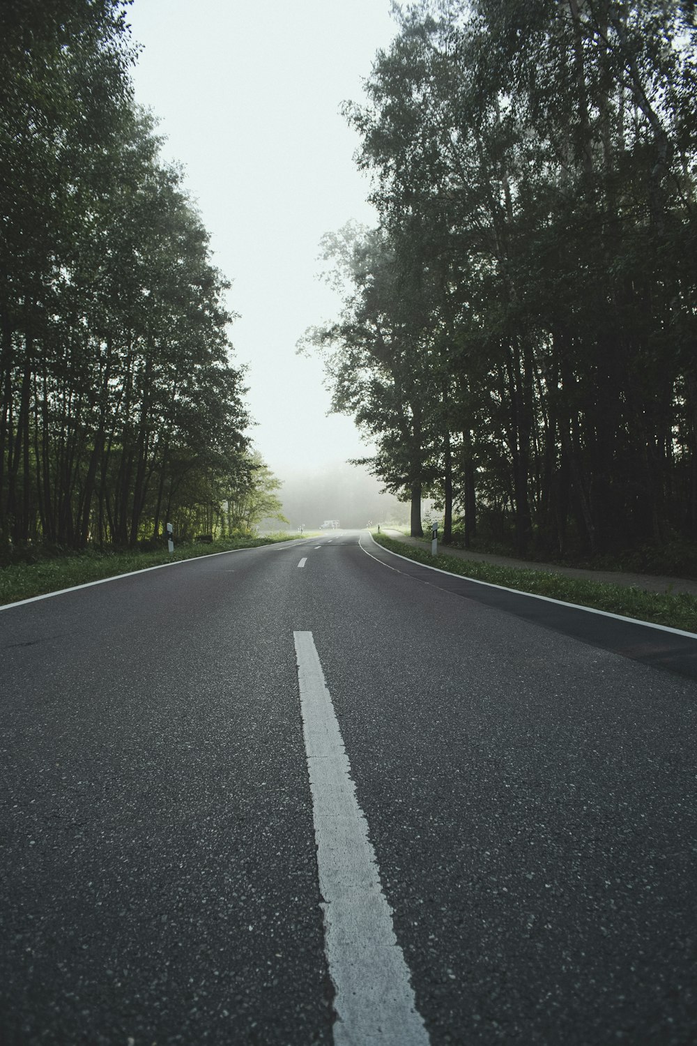 gray concrete road between green trees during daytime