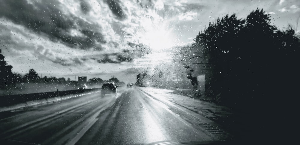 grayscale photo of road between trees