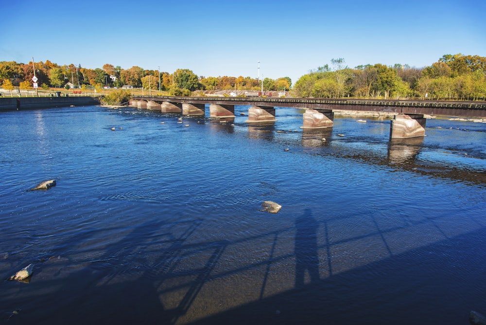 body of water near green trees during daytime