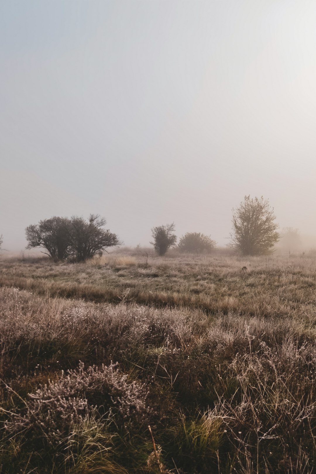 Ecoregion photo spot Drugan Bulgaria