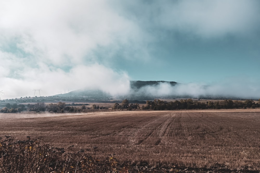 brown field under white clouds and blue sky during daytime