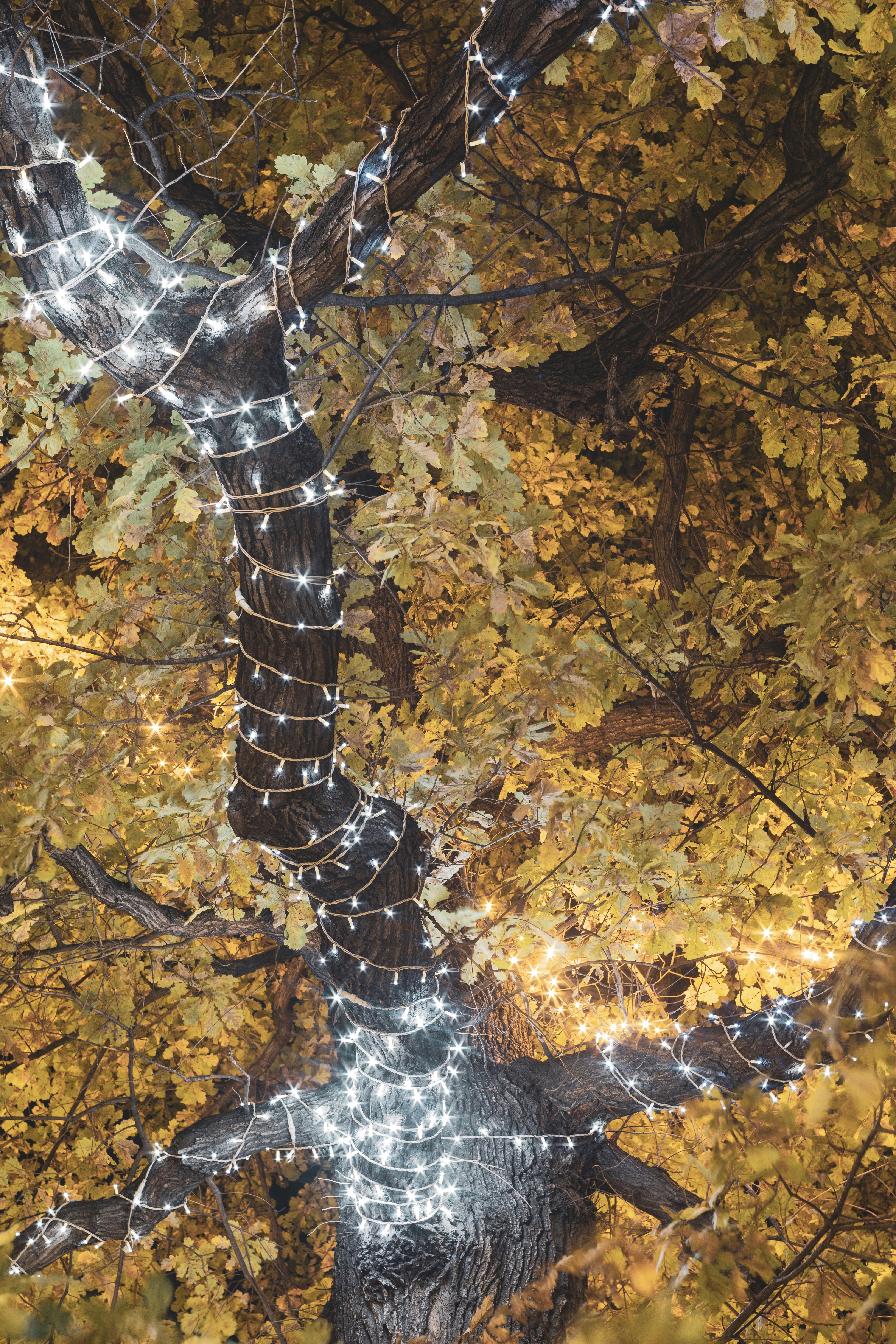 Photo by thewanderinggenk