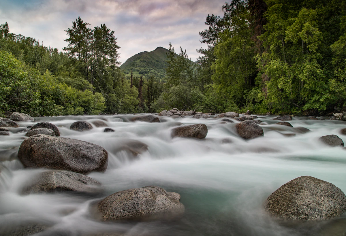 photo by John Thomas (@capturelight) on unsplash