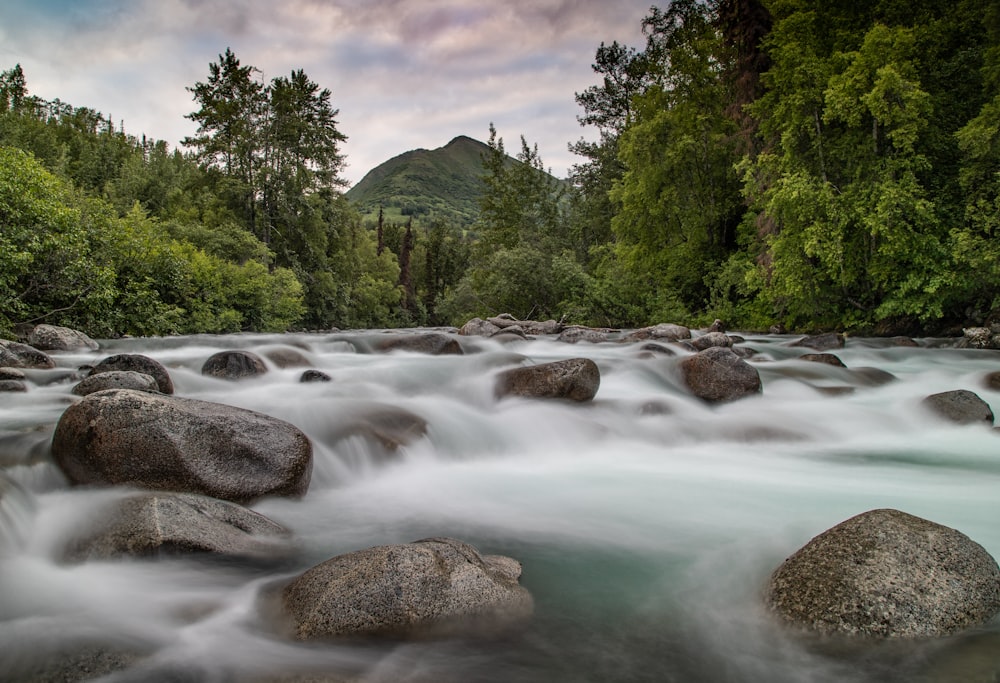 river in between green trees under blue sky during daytime