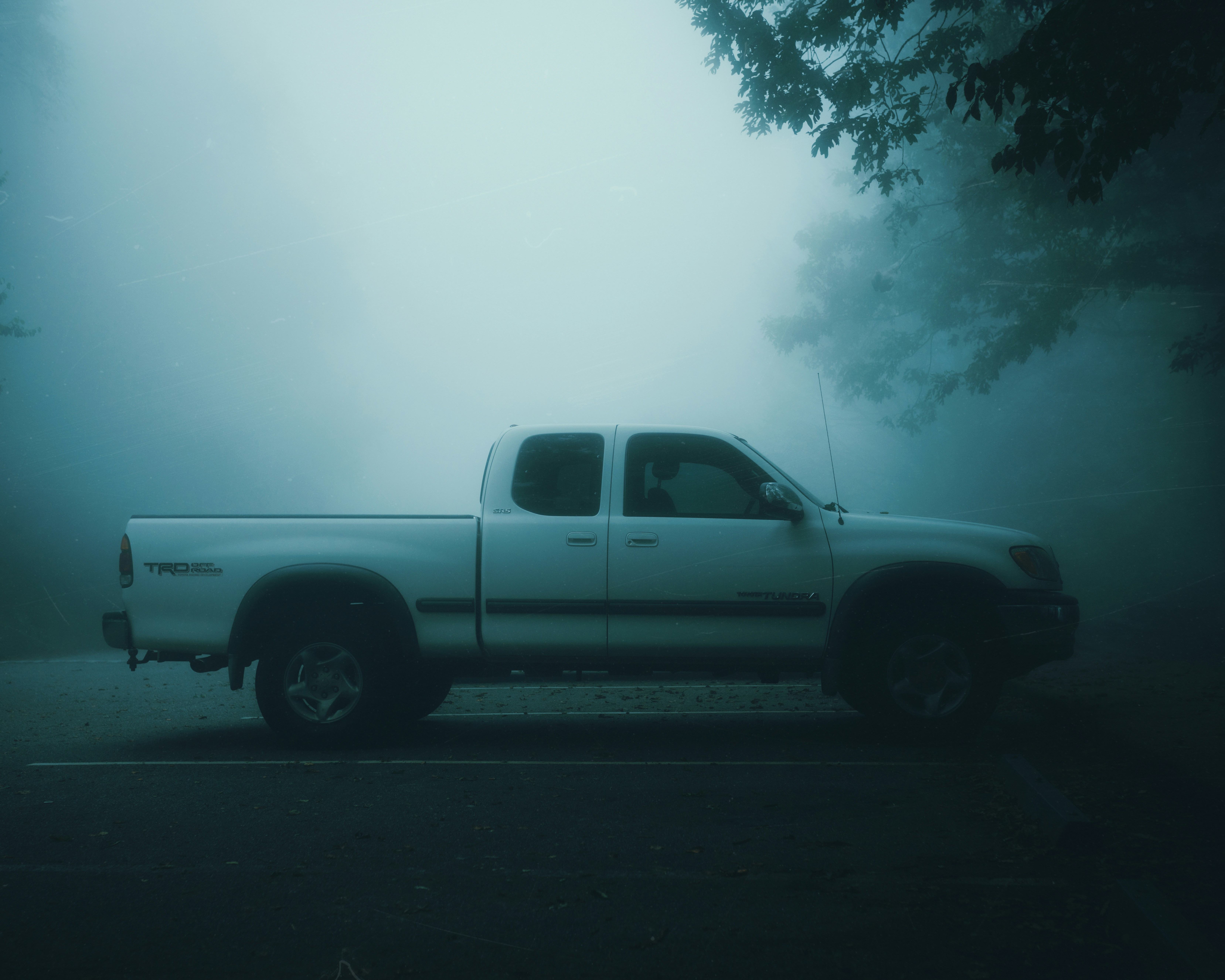 south carolina teams background