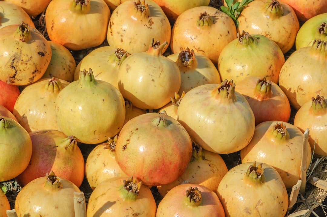 red and yellow round fruits