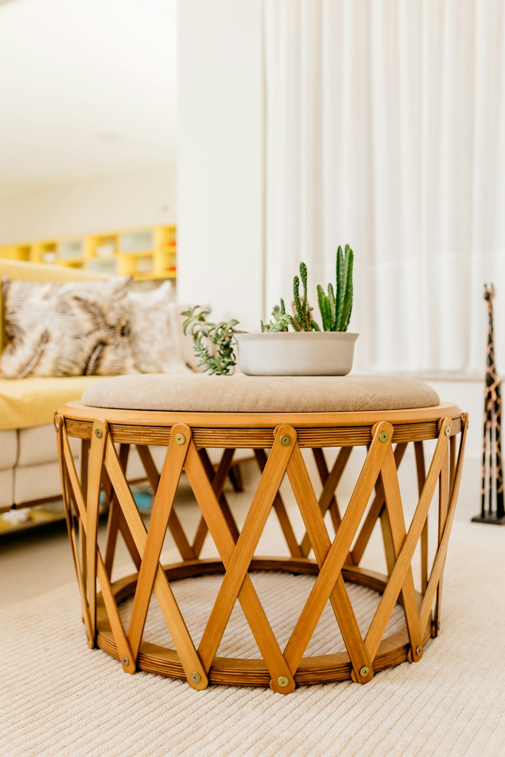 plante verte sur table en bois marron