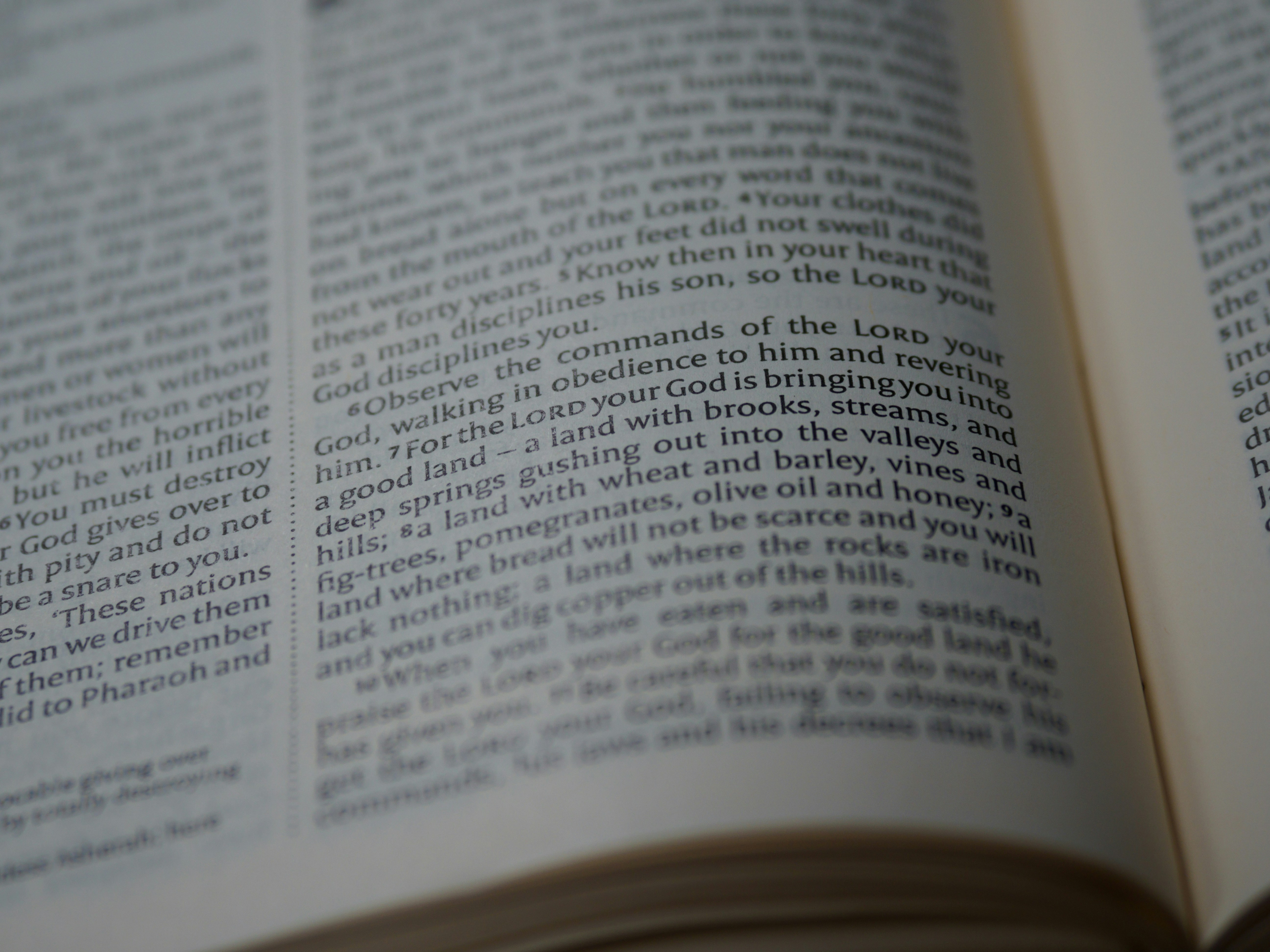 Photo by brett_jordan