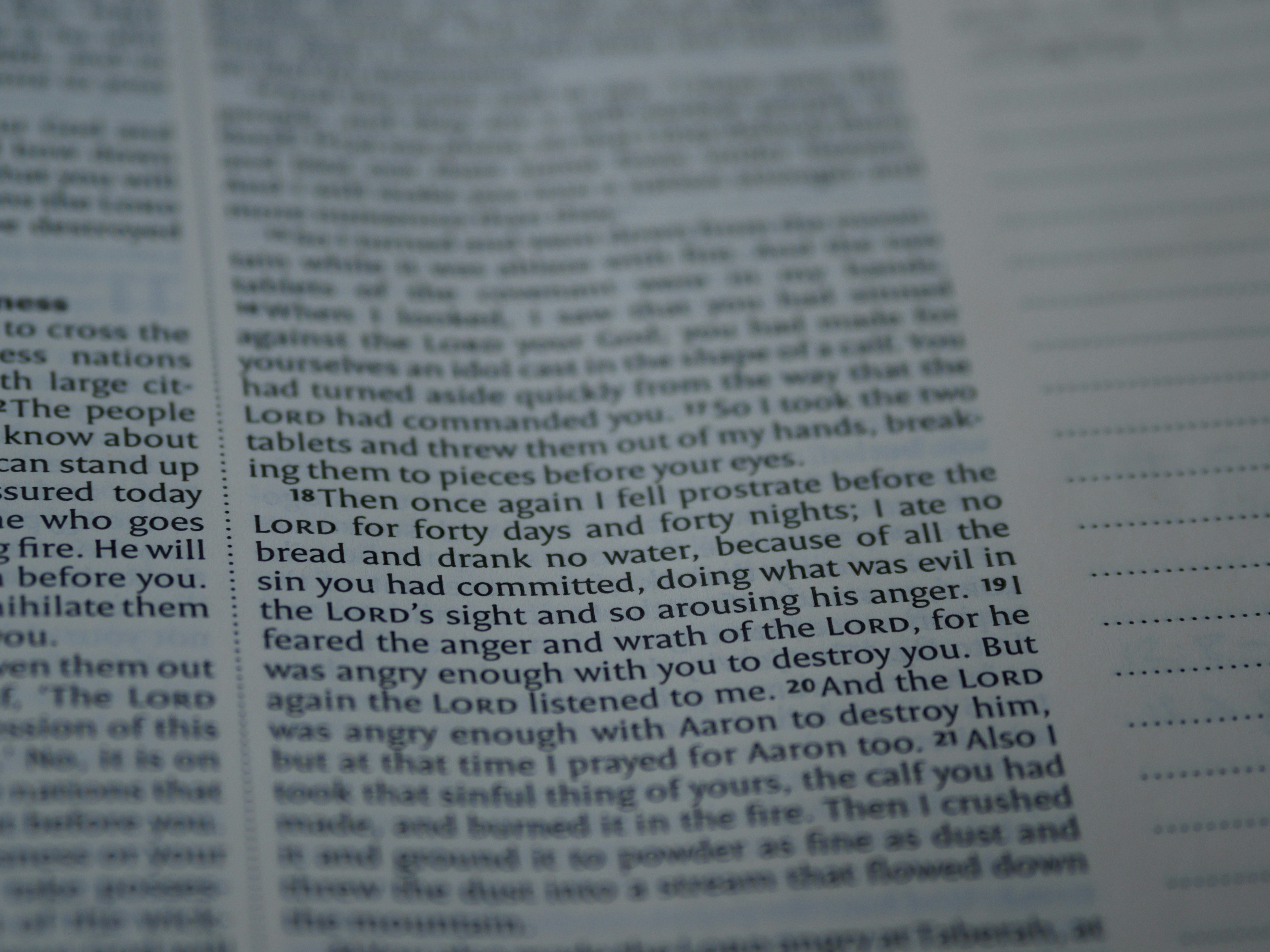 close up, bokeh, macro, blur, blurred background, close focus, bible, old testament, deuteronomy, christian, judaism, history, text, pentateuch, reading, bible study, torah, devotions, text, NIV, New International Version, type, typography, canon, christianity, holy scripture, holy bible, scripture, book of deuteronomy, Devarim, hebrews, דברים, the words of Moses,
