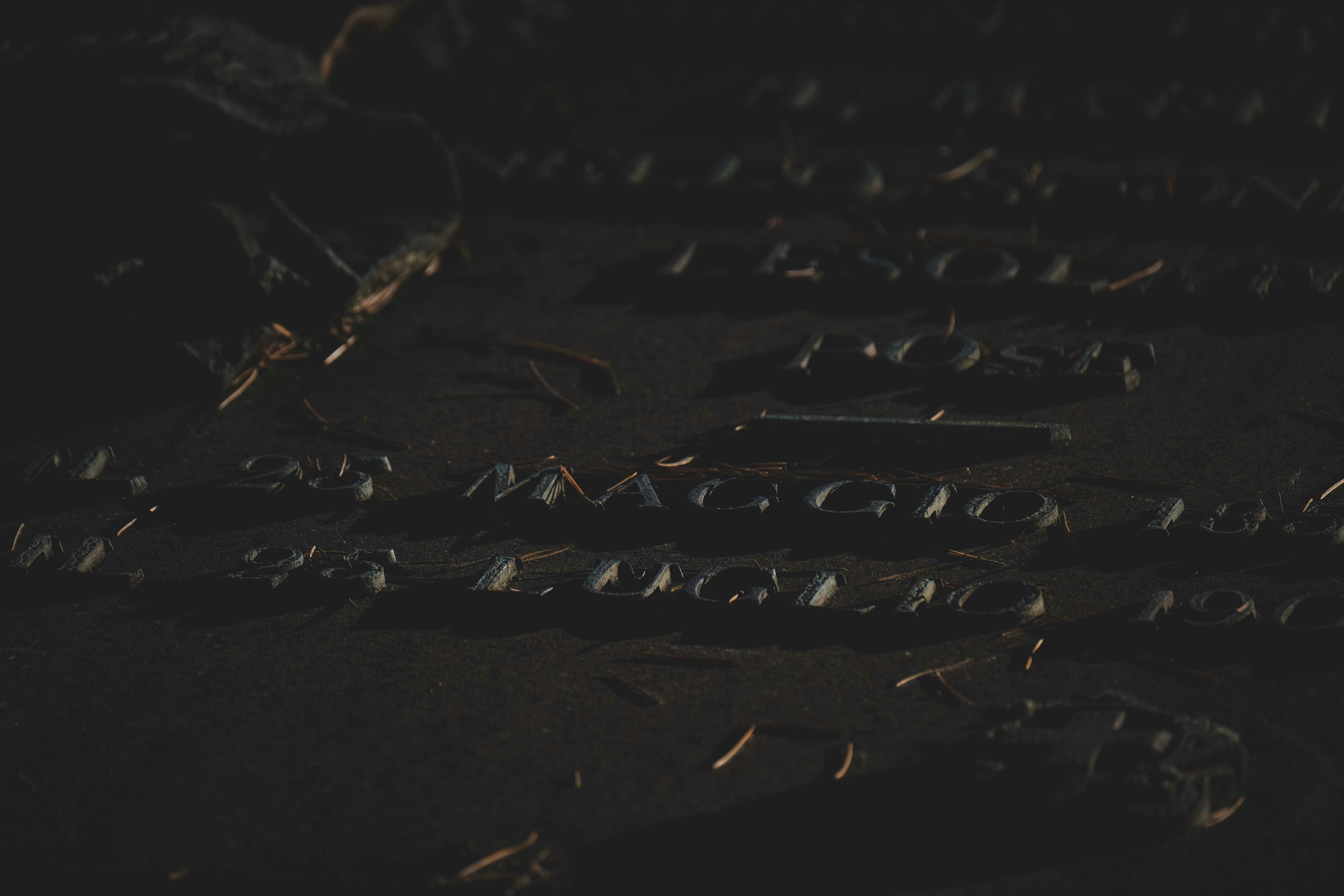 Photo by francesco_ungaro