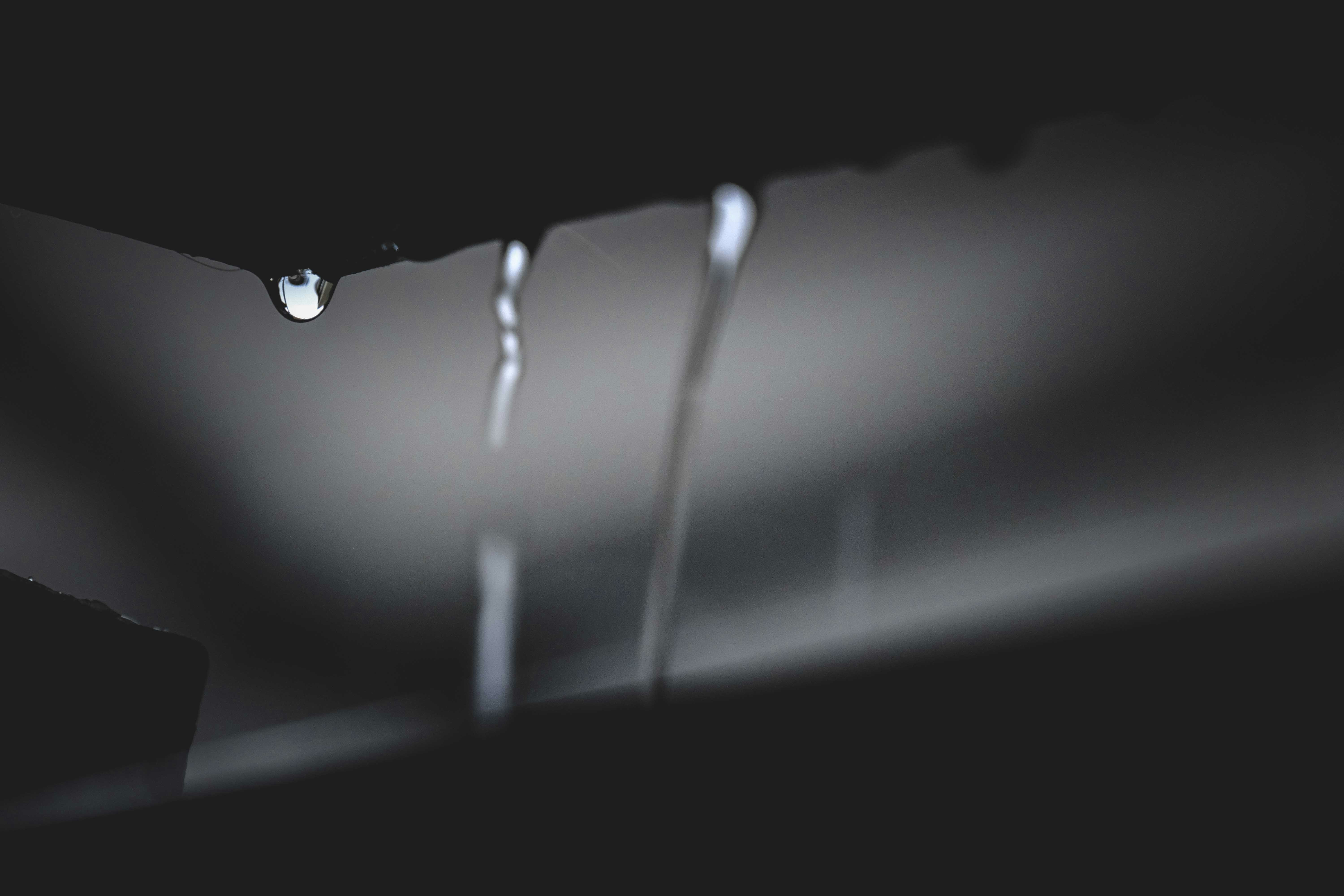 Photo by francesco_ungaro