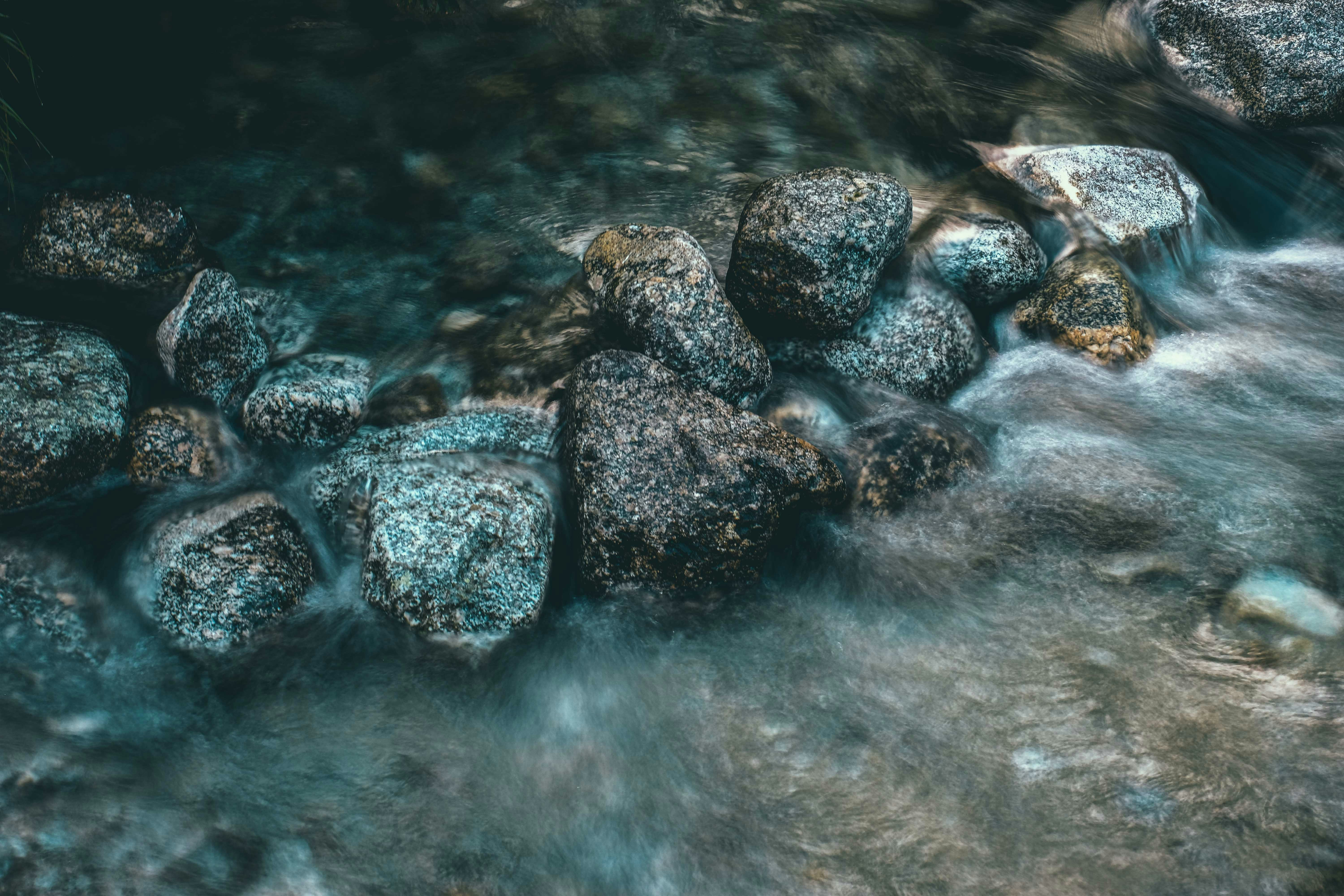 Photo by francesco_ungaro