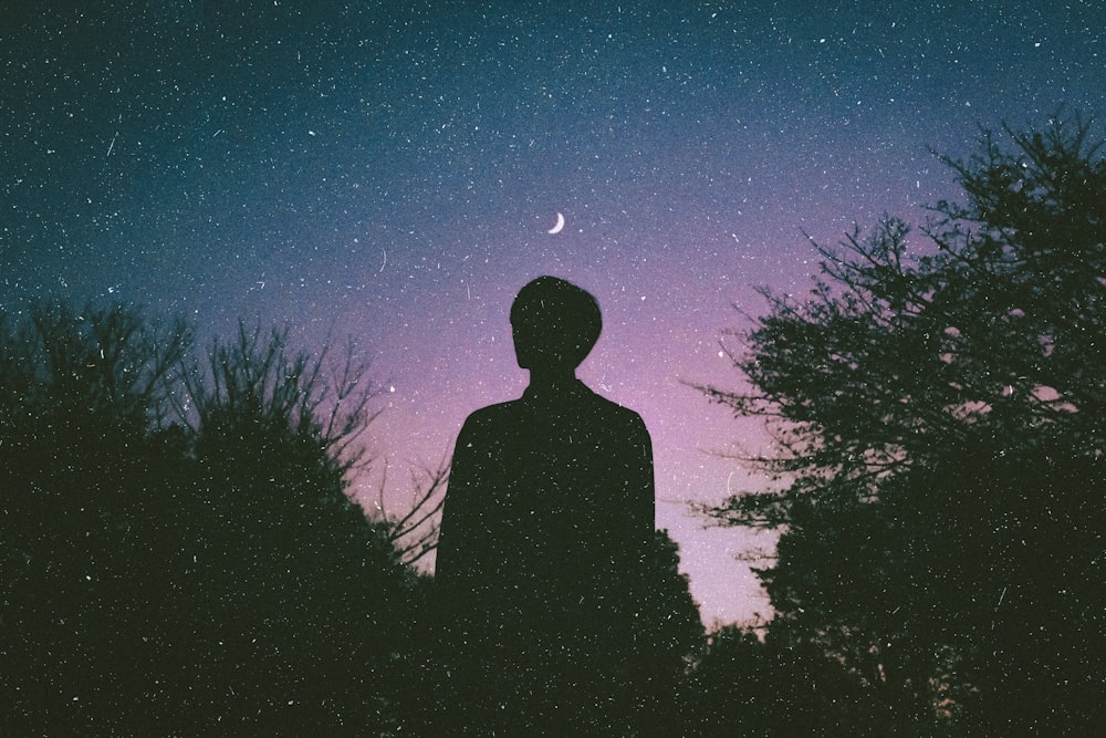 silhouette of man standing near trees under blue sky during night time