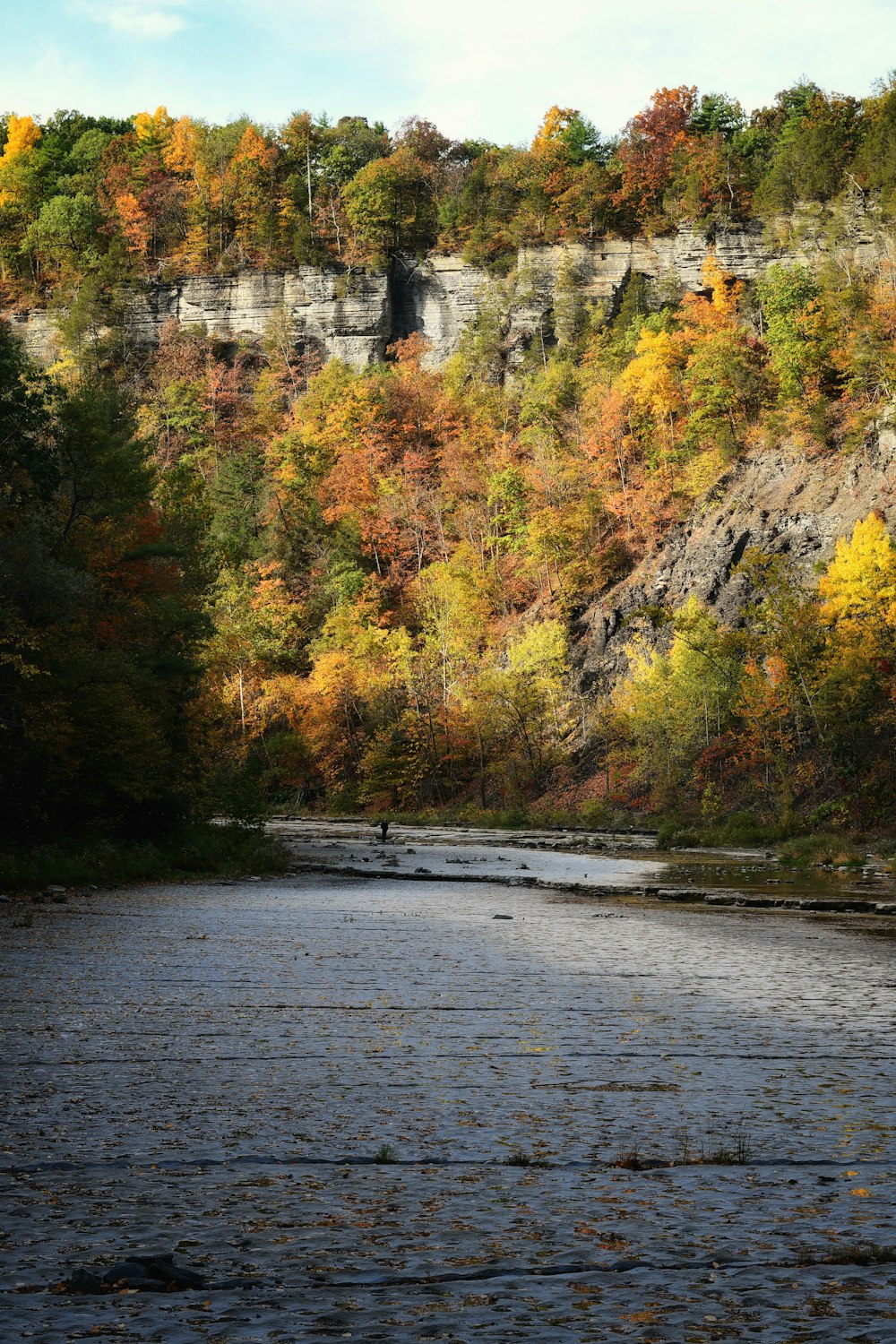 Fluss zwischen Bäumen und Gebäuden