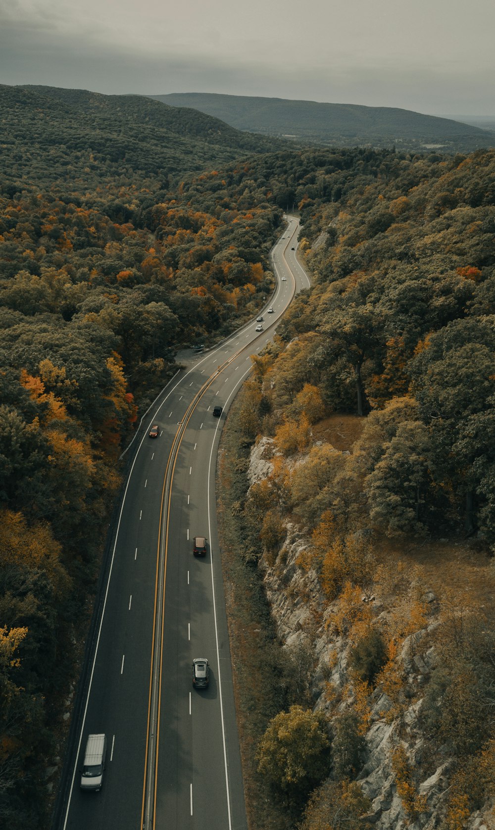 aerial view of highway in the middle of green trees