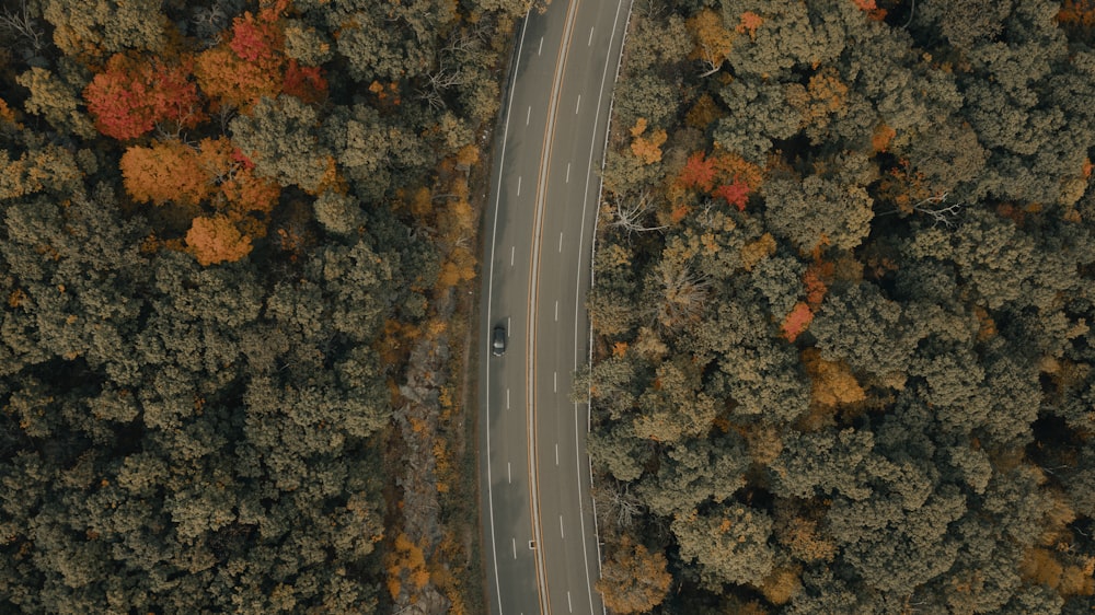 Coche negro en la carretera durante el día