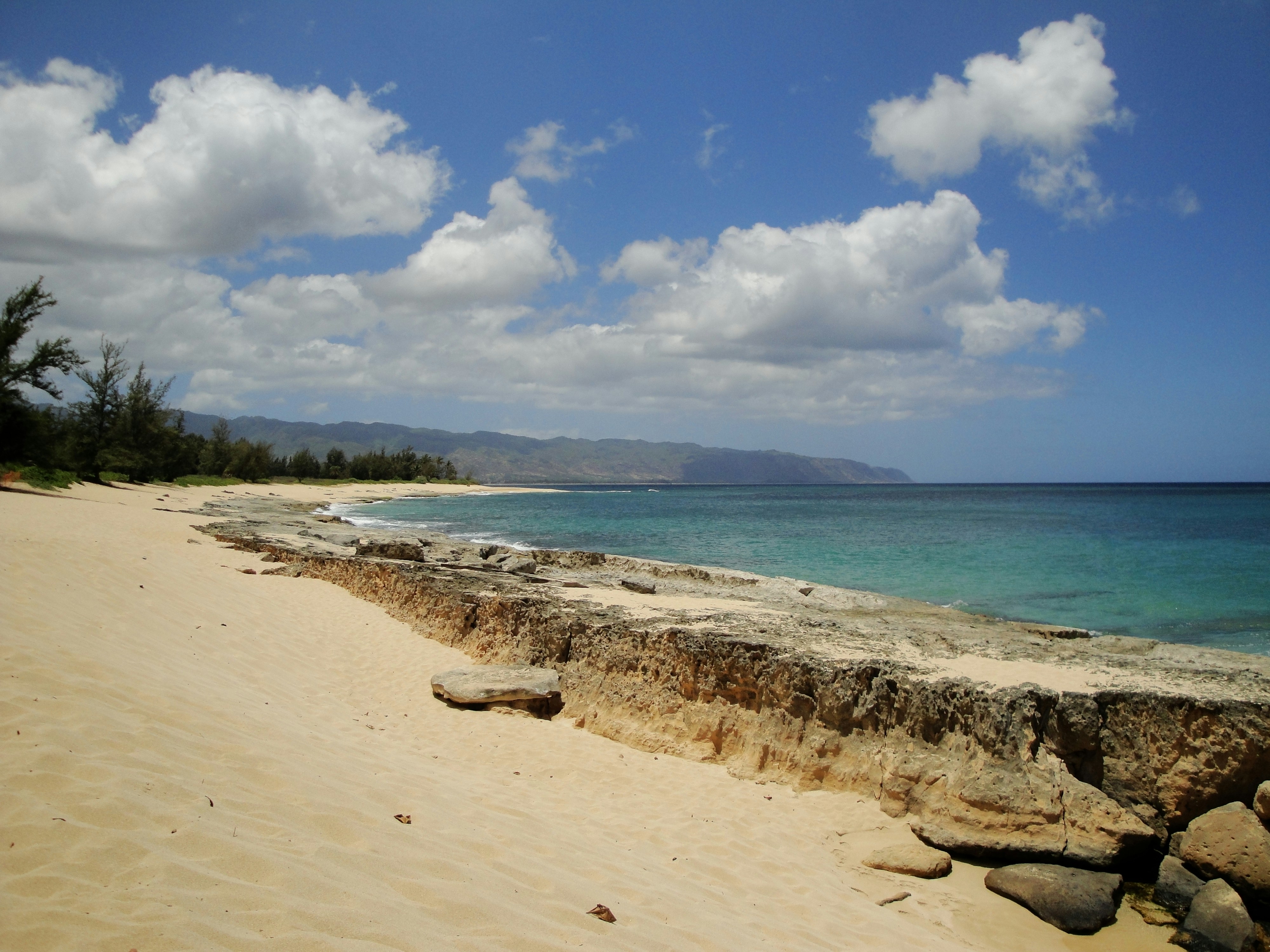 Photo by ckdexterhaven