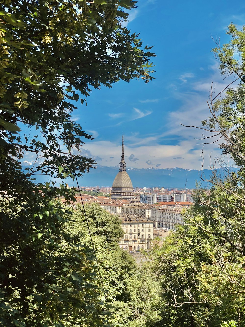 Grüne Bäume in der Nähe von braunem Betongebäude unter blauem Himmel tagsüber