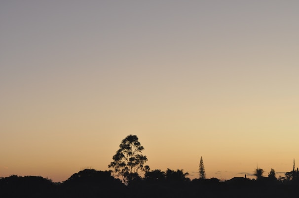 An image capturing a serene early retirement planning infographic in Hindi with peaceful retirement visuals.