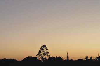 The image depicts a serene sunset or sunrise with a gradient sky transitioning from pale blue to warm orange. Silhouettes of trees and a few sparse buildings are visible against the horizon, creating a peaceful and tranquil scene.