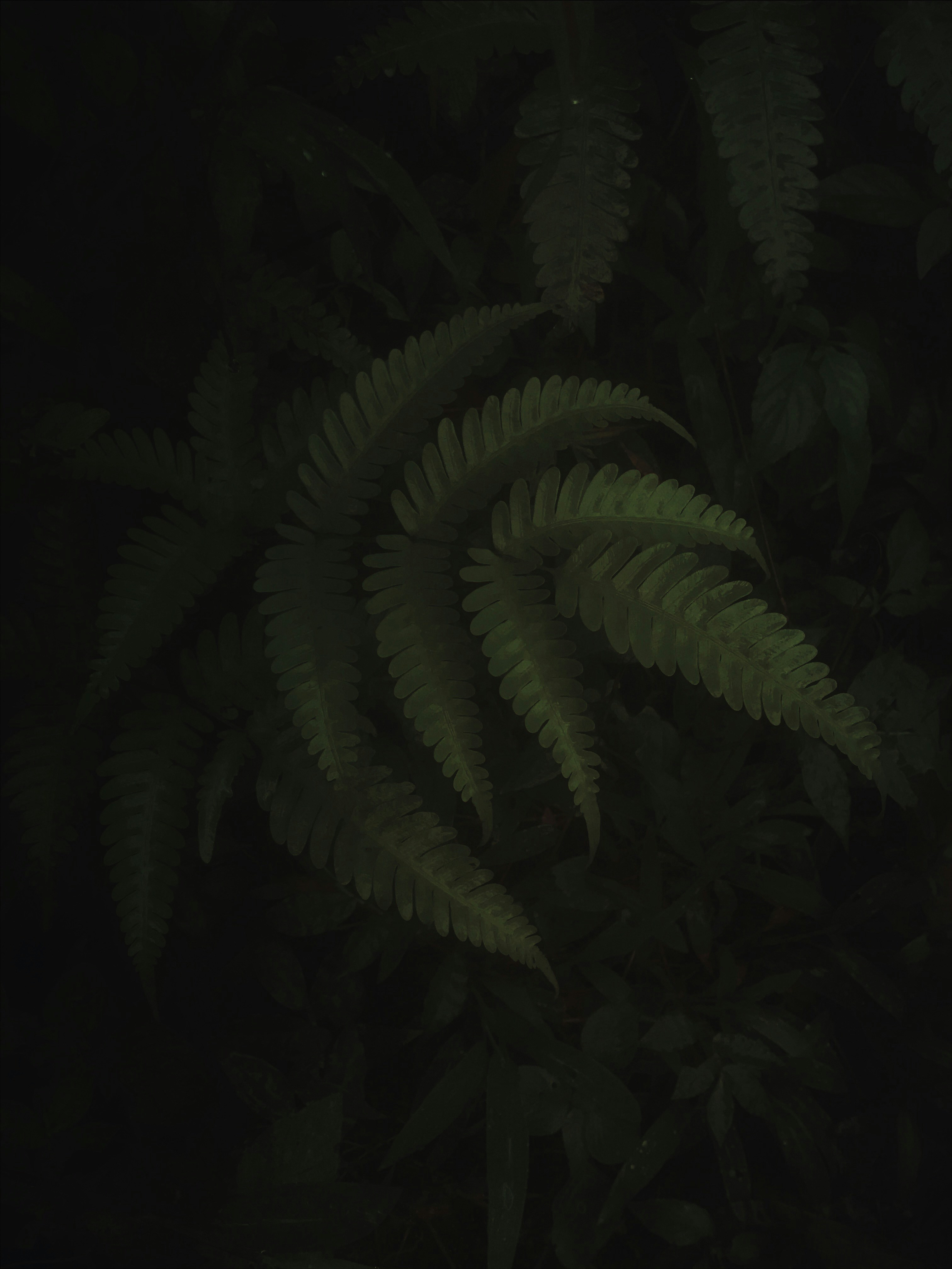 Photo by faheemshafi