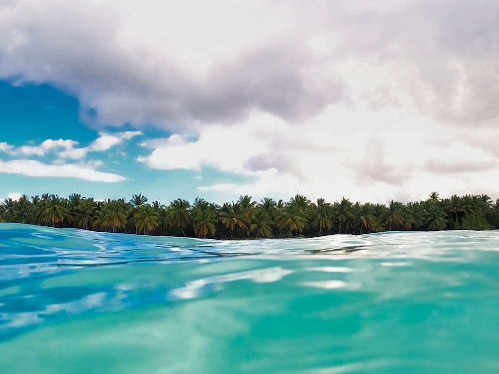 árboles verdes junto a un cuerpo de agua azul bajo nubes blancas y cielo azul durante el día