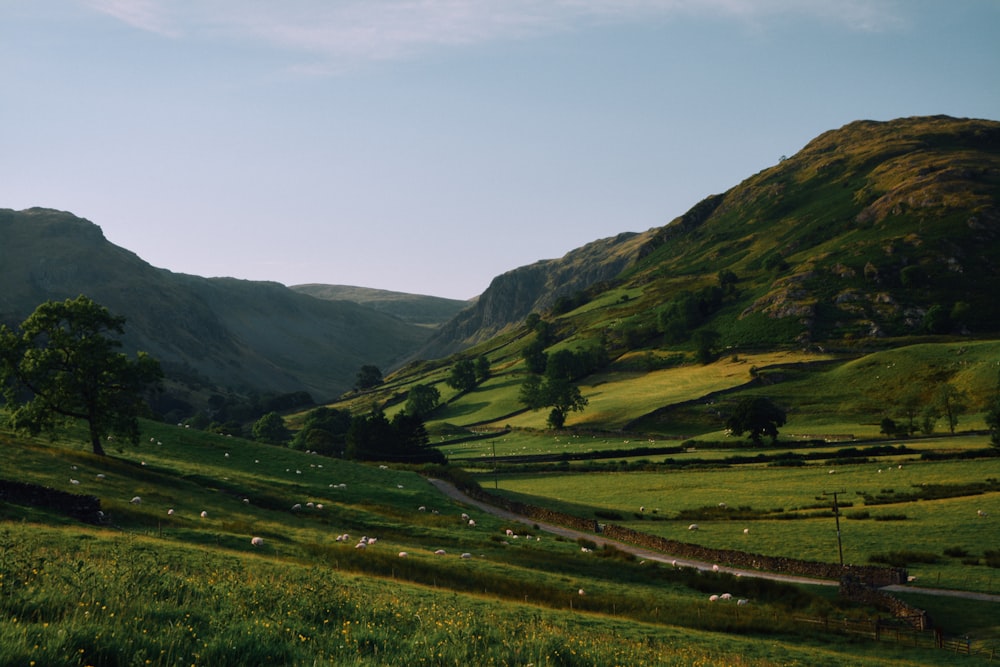 Campo de hierba verde y montañas durante el día