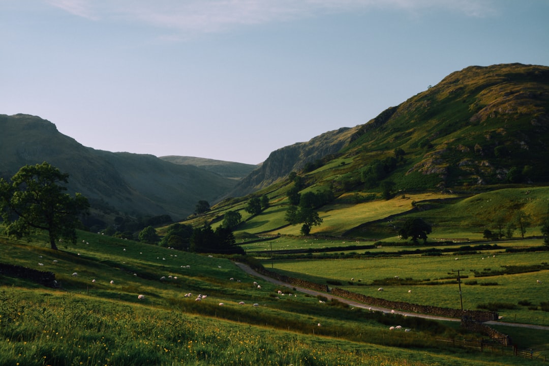 Hill photo spot Lake District National Park Hallin Fell