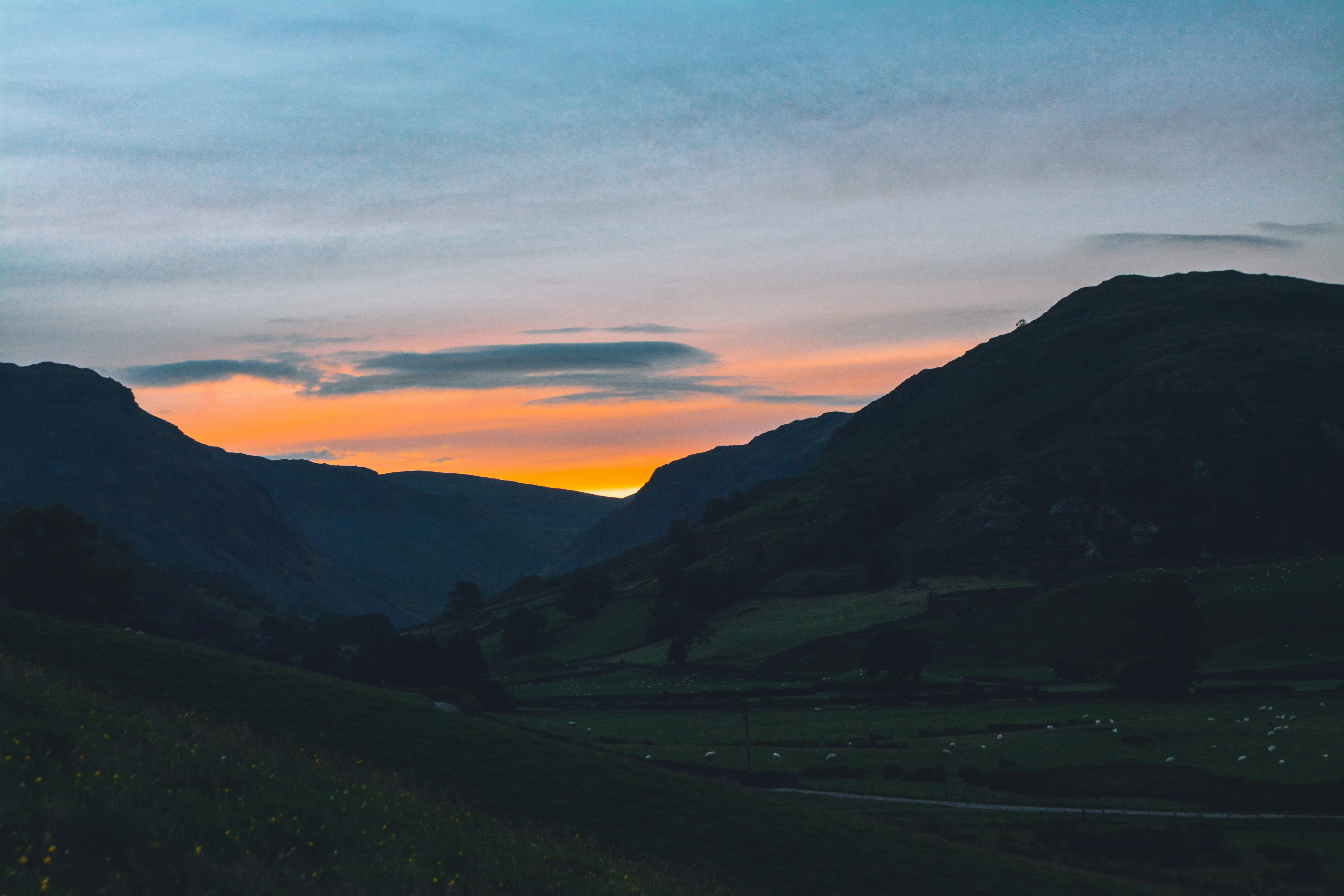 Photo by andrewmeasham