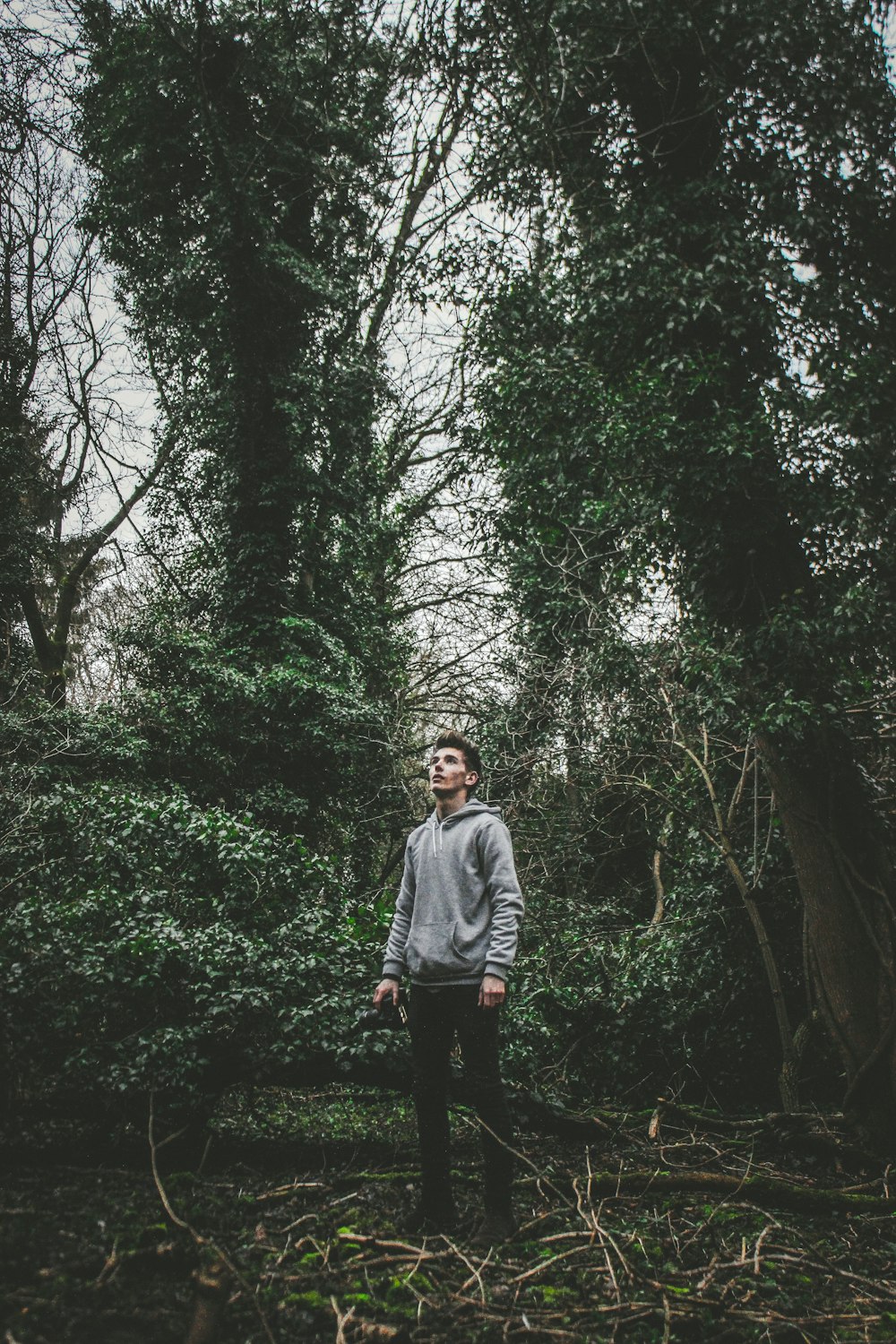 woman in gray jacket standing in the middle of forest during daytime