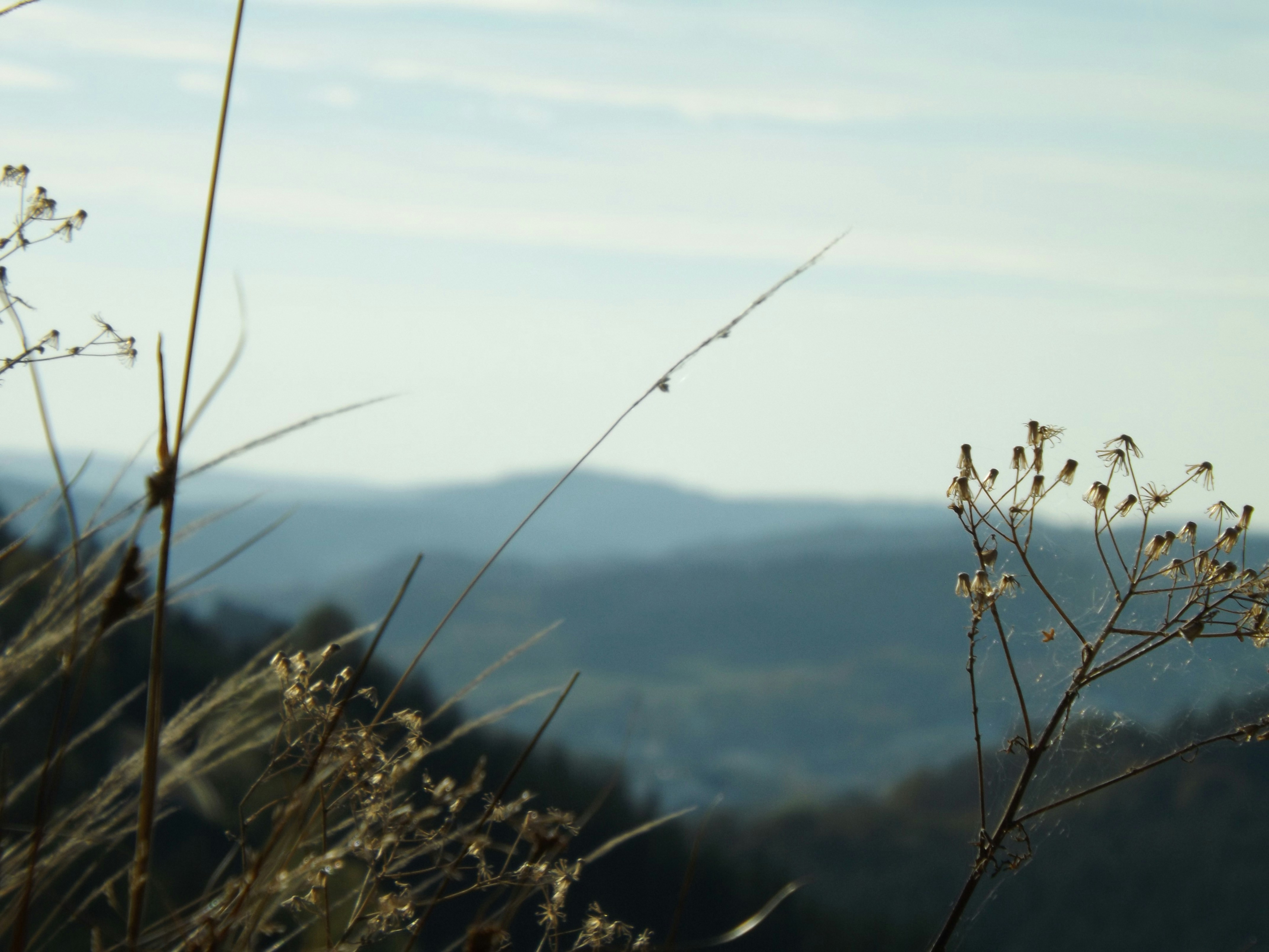 Photo by collectedmomentsbydaniel