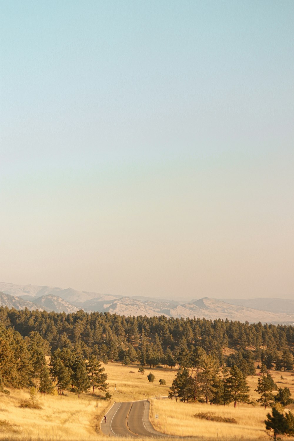 green trees on mountain under white sky during daytime