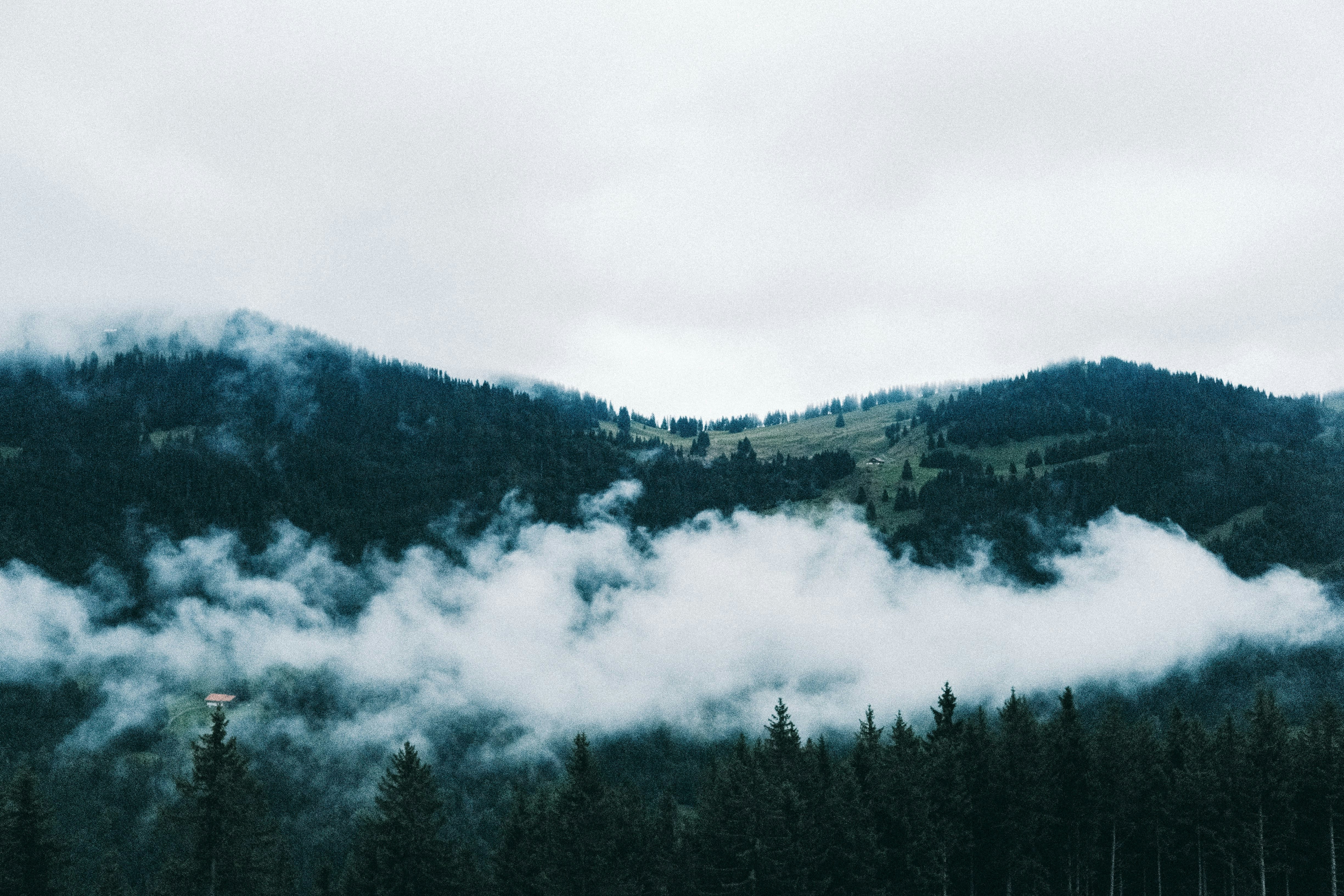 Photo by isarisariver