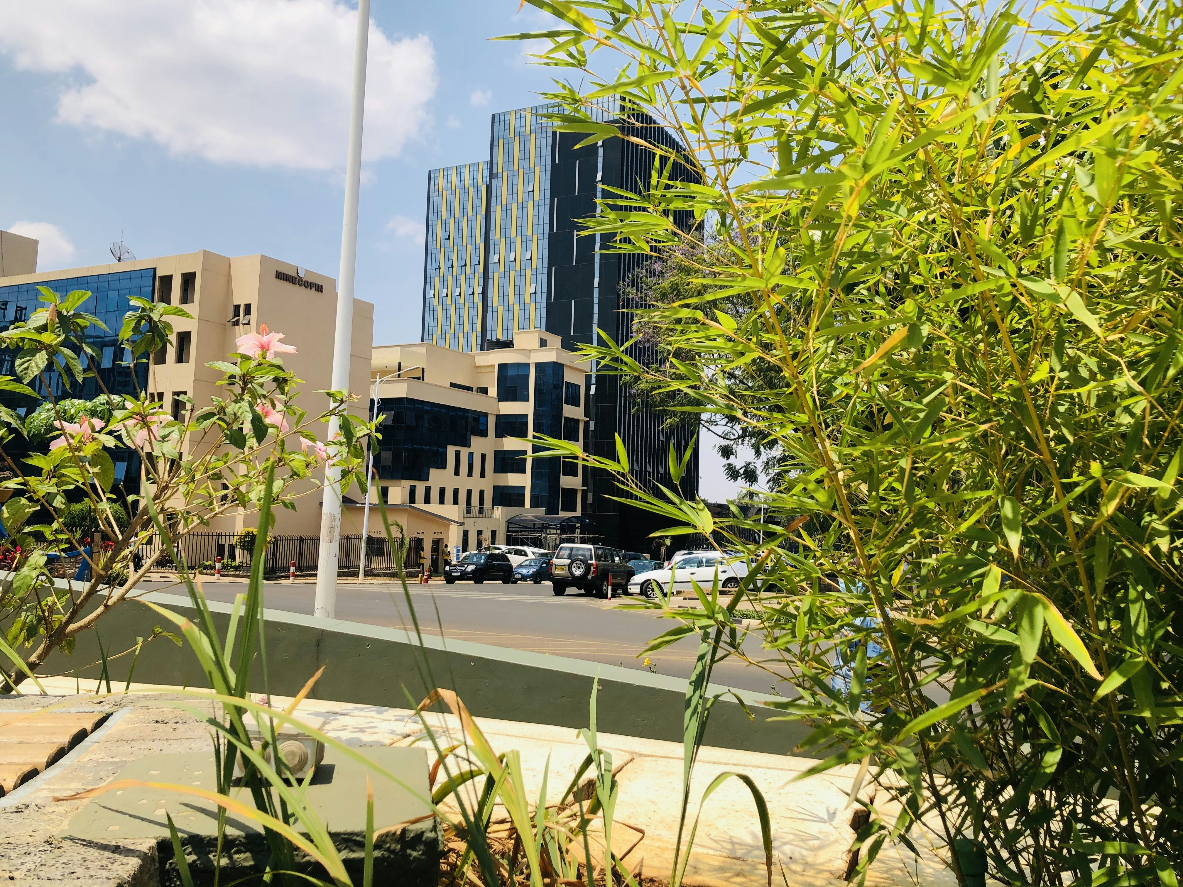 SoftBank Boosts Rwanda's EdTech Infrastructure