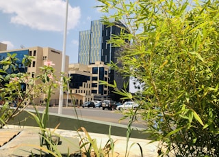 cars parked on parking lot near building during daytime