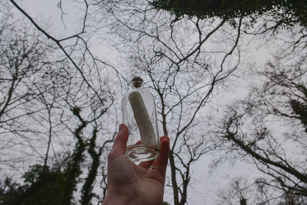 person holding clear glass bottle