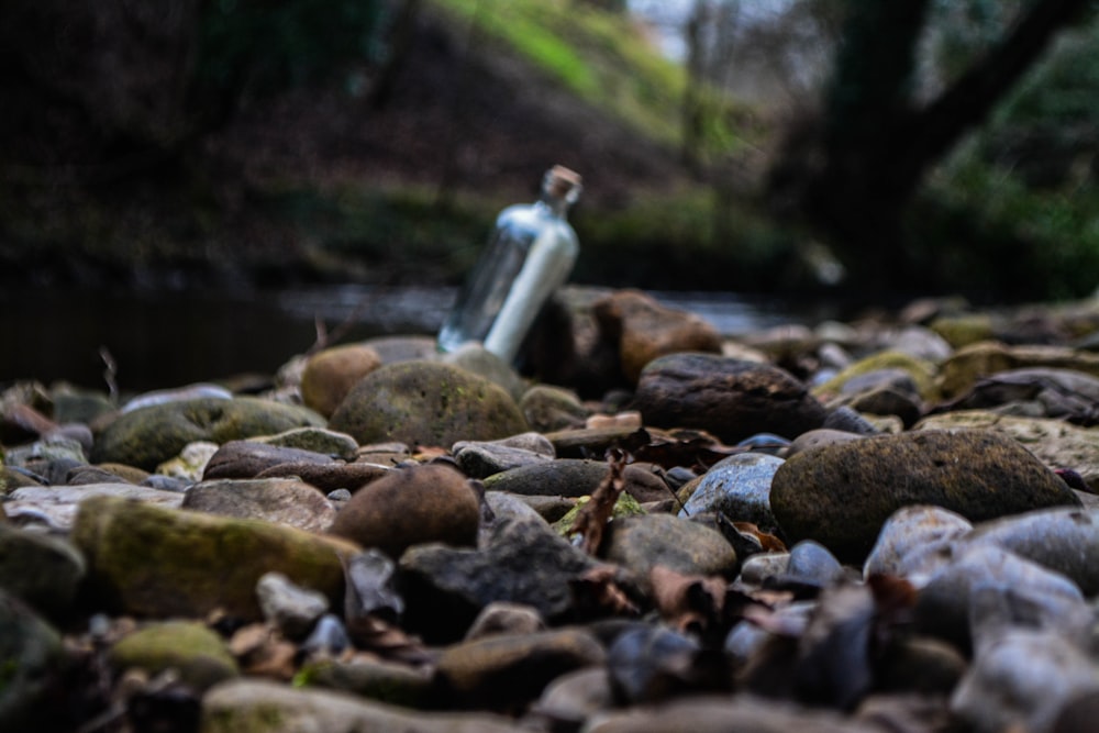 Braune Steine am Fluss tagsüber