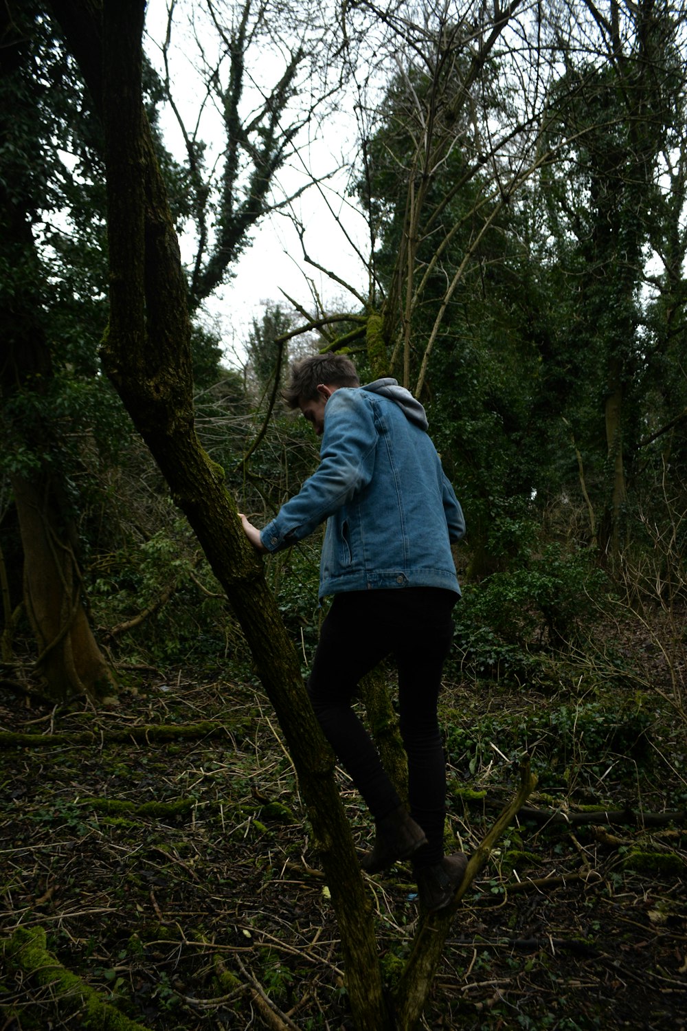 man in blue dress shirt and black pants standing on brown tree trunk during daytime