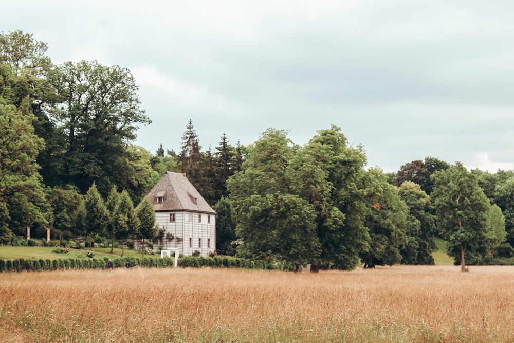 Maison en bois blanc au milieu d’un champ d’herbe brune
