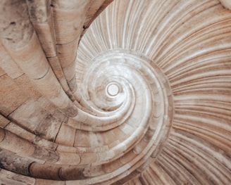 brown and white spiral staircase