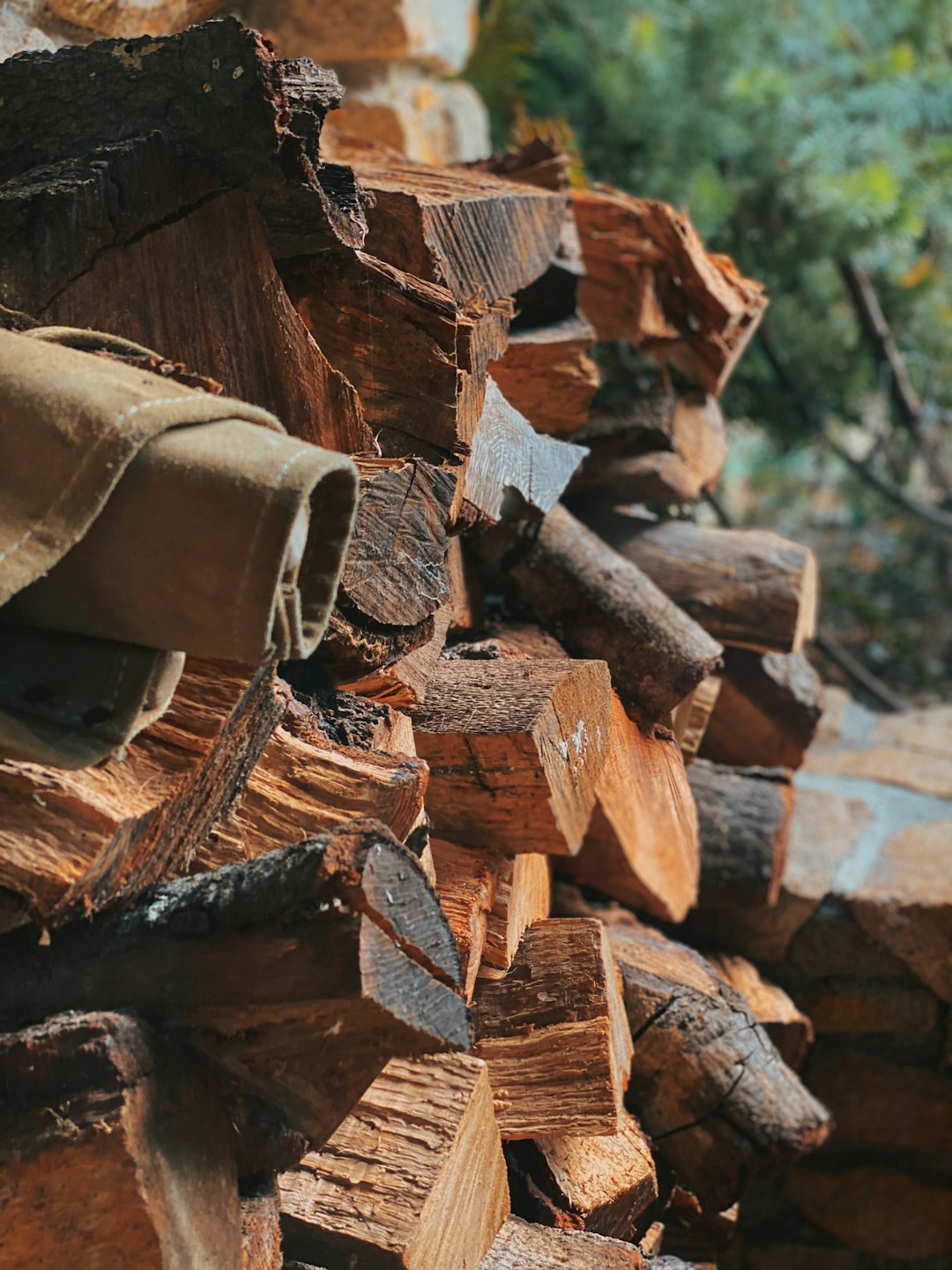 brown wood logs during daytime