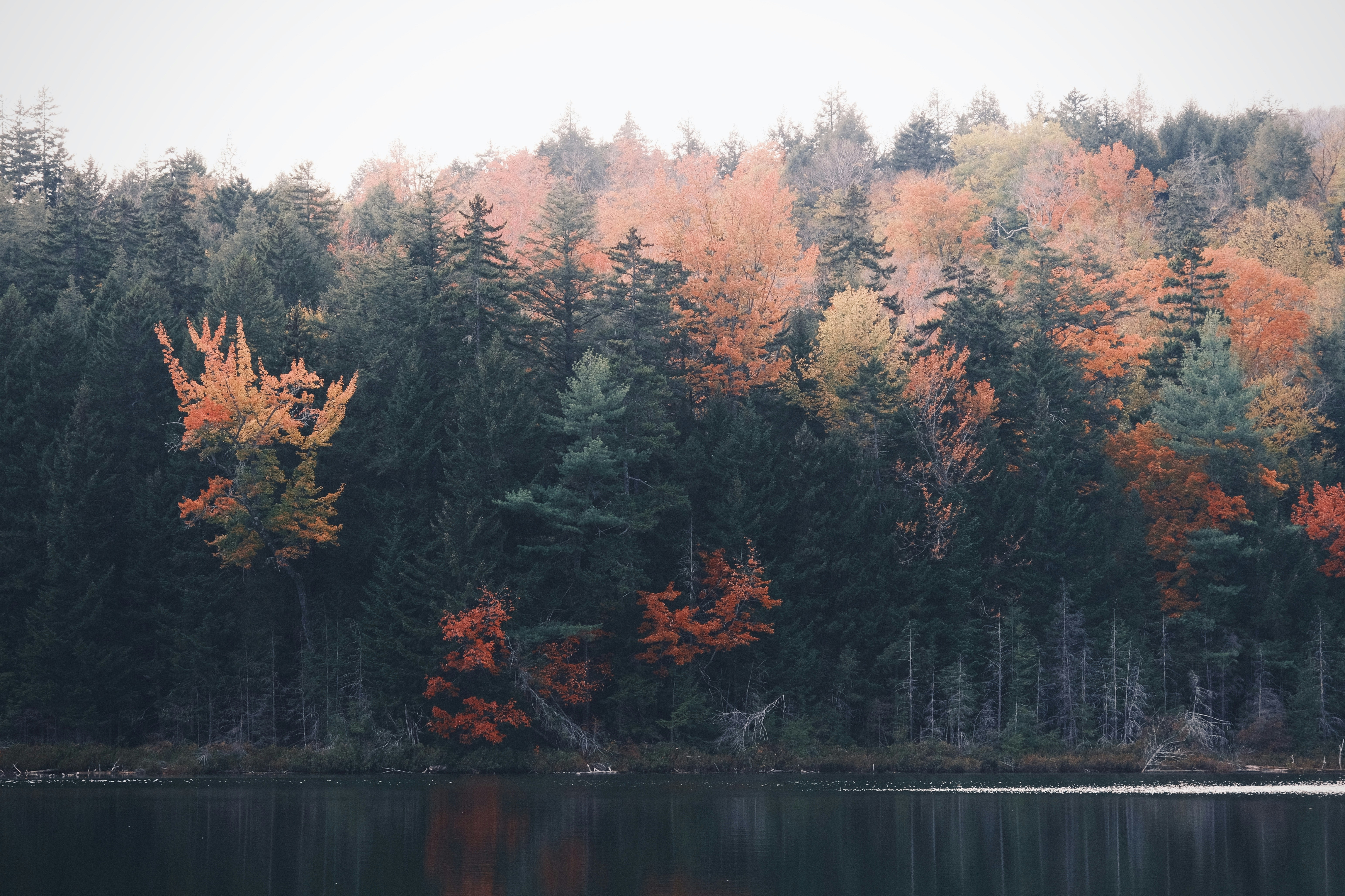 Photo by victorchen_vii