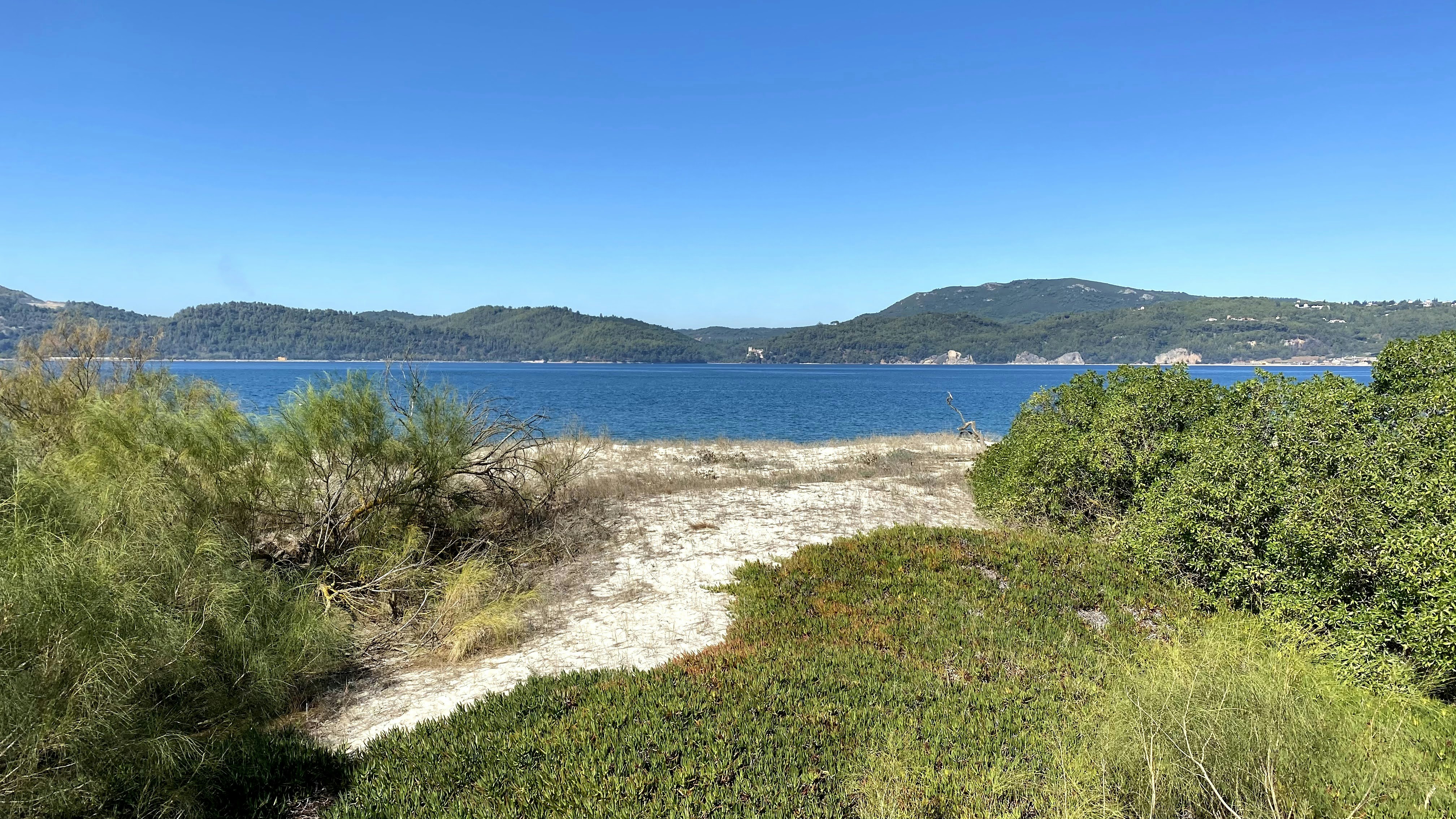 Photo by andremota73