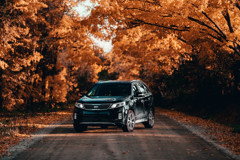 black sedan on road near trees during daytime